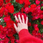 Noël Wells Instagram – ☔️ – 💐