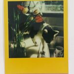 Noël Wells Instagram - fear and loathing in Los Feliz