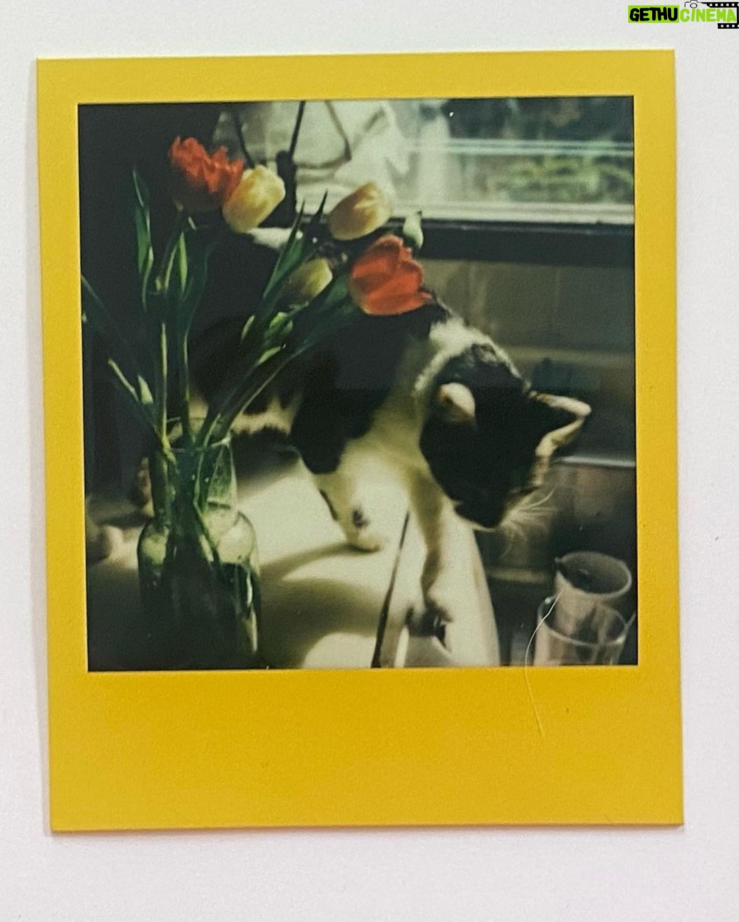 Noël Wells Instagram - fear and loathing in Los Feliz
