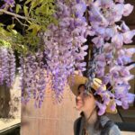 Noël Wells Instagram – spring has spring!