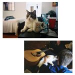 Noël Wells Instagram - just wanna get this out while I have my wits about me, but sadly today me and flinty had to put Mr. Feeny to sleep. To those who knew him, you know this is an end of a freaking era and I'm absolutely beside myself with sadness. 17 years. He was a cool fucking cat, who traversed many college adventures, apartments, houses, boyfriends, and eventually traveled 2000 miles to Los Angeles California where he settled underneath the Hollywood sign, calling Beachwood Canyon home. He was a soulmate and companion through many episodes of my youthful immaturity, but was very much loved and quite an honored and illustrious feline who would take walks around the neighborhood and played fetch. He made many brushes with death, but many more brushes with notoriety, landing himself in a viral zine (How to Talk To Your Cat About Gun Safety) being featured in a a published book (Cat Lady, curated by Leah Goren) and of course, he was the inspiration and basis for my first feature film "Mr. Roosevelt." We were lucky to be there with him in his final moments, and he was in my arms with his pretty white paws resting on my wrists like he used to when he was a lil one. Thank you so much Flint for being a good cat dad, and thank you Dave for everything. Thanks to all my friends who knew and got him. For just a fucking cat he was one of the very greats.