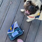 Noël Wells Instagram – wholesome work week