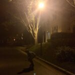 Noah Schnapp Instagram - Skateboarding Atlanta, Georgia