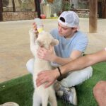Noah Schnapp Instagram – Me and a baby lion🦁 Dubai Desert