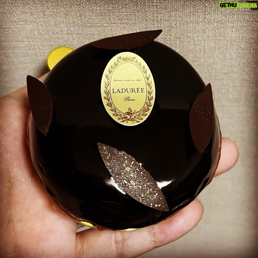 Nobuhiko Okamoto Instagram - 生配信前にケーキ食べよっと #ラデュレ #圧倒的女子力を兼ね備えたお店 #逆に言えばラデュレを持ってるだけでもはや女子と言えるかもしれない #つまり食べ終わるさっきまでは女子だったかもしれない