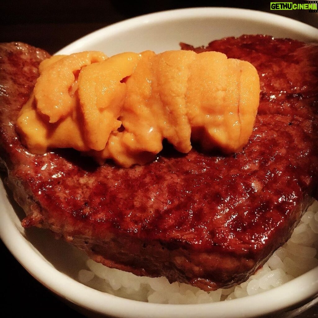 Nobuhiko Okamoto Instagram - おはよー！ #シャトーブリアン #うに #もう一度食べたい #どんぶり #美味しいもの好きにさせた原点にして頂点