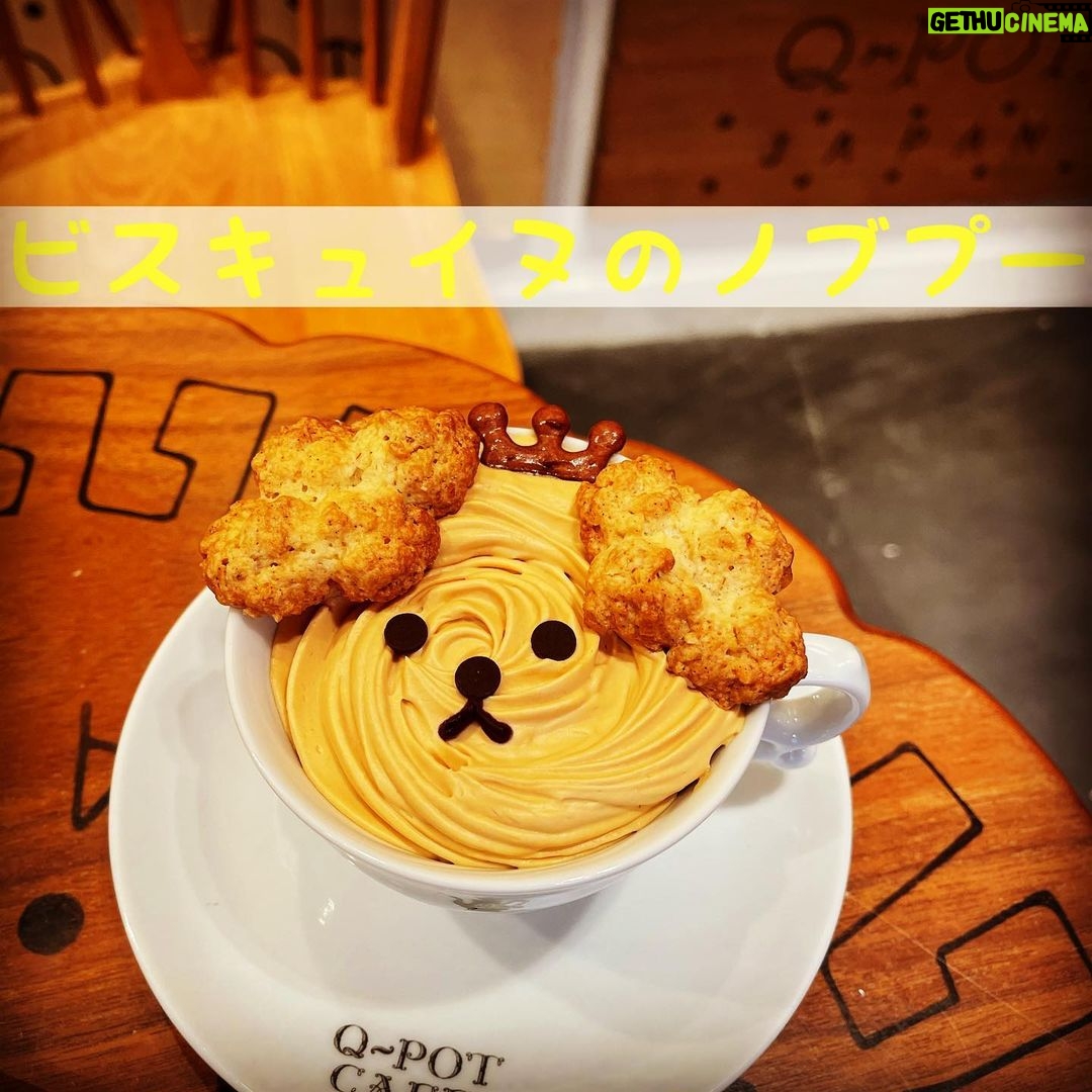 Nobuhiko Okamoto Instagram - キューポットさんとのコラボ #犬#きゅーぽっと #耳がサクサクのビスキュイ