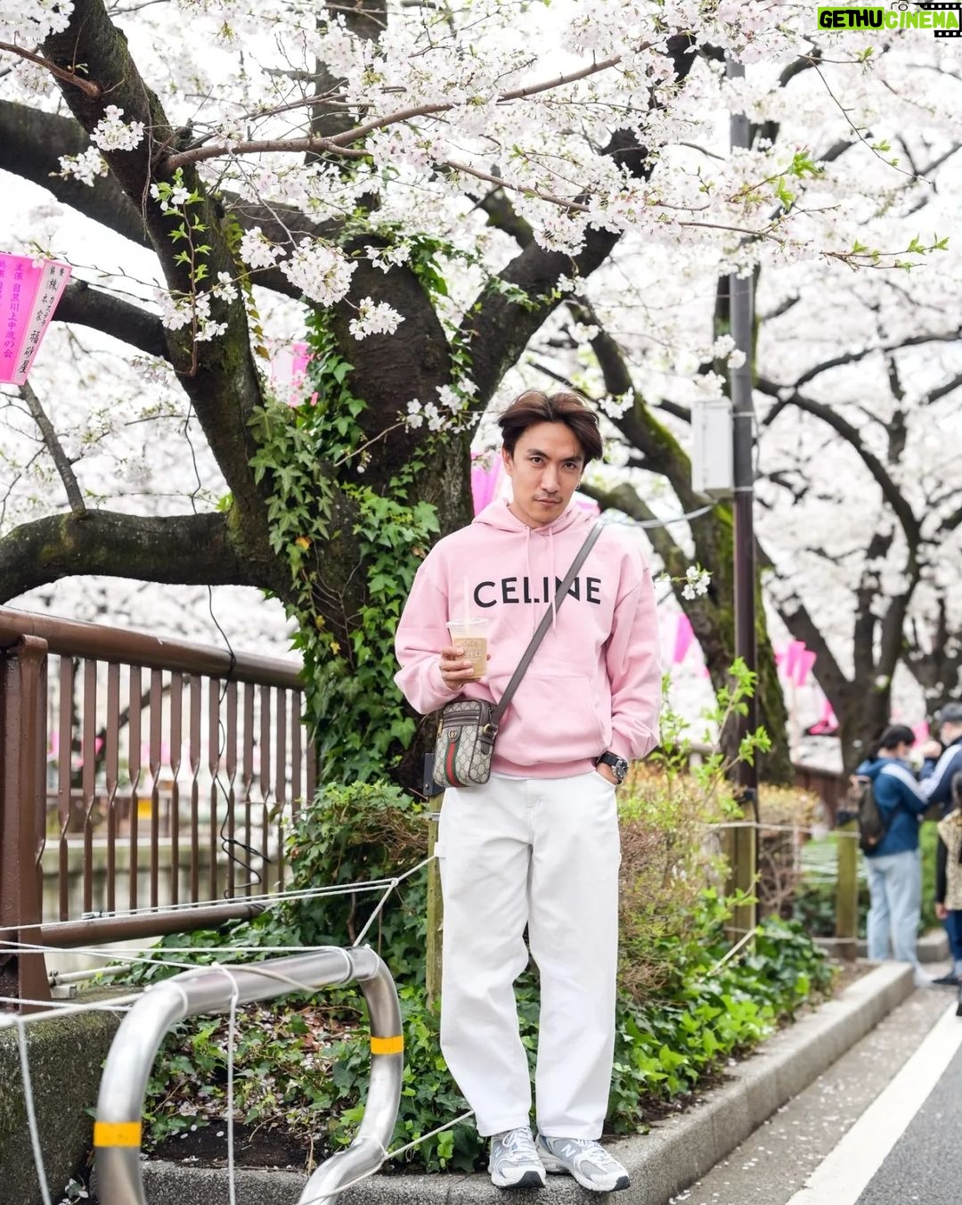 Noppharnach Chaiwimol Instagram - 🌸ซากุระ ซากุเรอะ ซากุริ🌸 #ญี่ปุ่นญี่ใจ2023 🇯🇵 Meguro, Tokyo