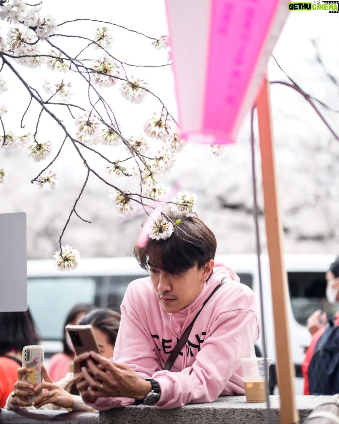 Noppharnach Chaiwimol Instagram - 🌸ซากุระ ซากุเรอะ ซากุริ🌸 #ญี่ปุ่นญี่ใจ2023 🇯🇵 Meguro, Tokyo
