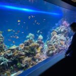 Norihiro Urai Instagram - 男性ブランコのオンラインコントライブ 『トワイライト水族館』 2022年12月9日（金）21時配信開始 オンラインチケット販売中！ ※12月16日（金）までアーカイブ視聴いただけます。 ※現在イベント割が適用されています。この機会に是非！ 詳しくはFANY online ticketで！ 作・出演：男性ブランコ（浦井のりひろ 平井まさあき） ビジュアルデザイン：川名潤 ビジュアルイラスト：長嶋祐成 #男性ブランコ #オンラインコントライブ #トワイライト水族館 #サンシャイン水族館 サンシャイン水族館-Sunshine Aquarium