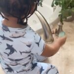 Offset Instagram - Bad Boy Wave
