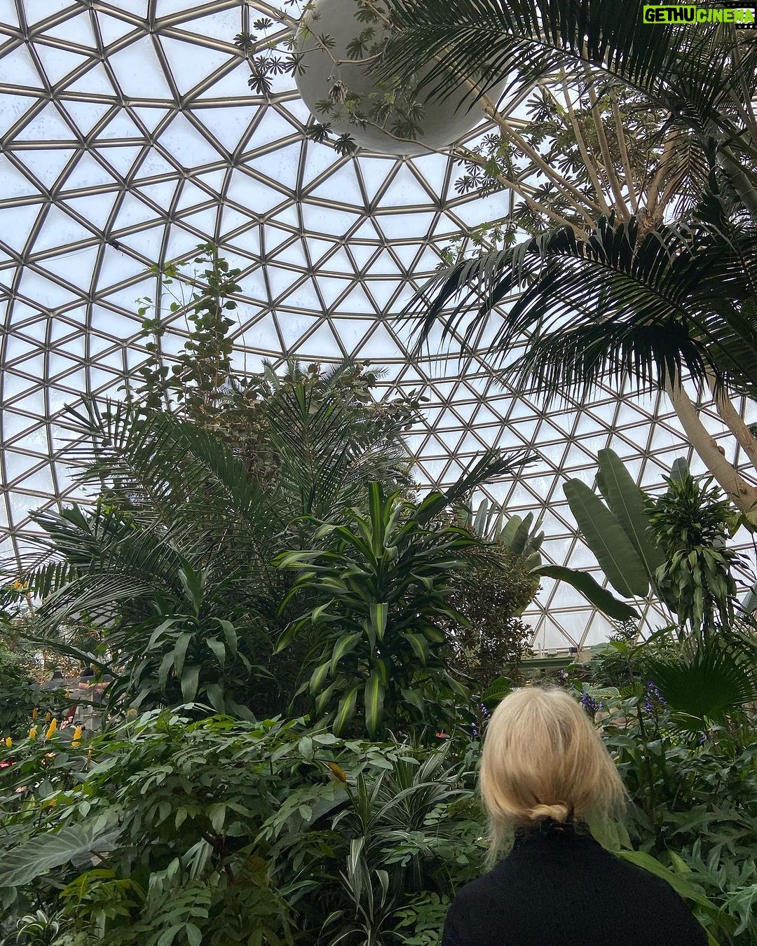 Olivia Collins Instagram - Un 1 de enero dedicado a estar y no pensar, a sentir y contemplar lo que ya es, la belleza que siempre se puede encontrar y la magia qué hay en la naturaleza que somos 🐛🌺🍄🍂🌻🍁🪷🌿 Y a ser niña junto con mi niño, dejándome sorprender por lo mundano, lo cotidiano y lo extraordinario de la vida 🐿🌳🦜 #vidacollins #vancouver #bloedelobservatory #vacaciones #familia Bloedel Conservatory