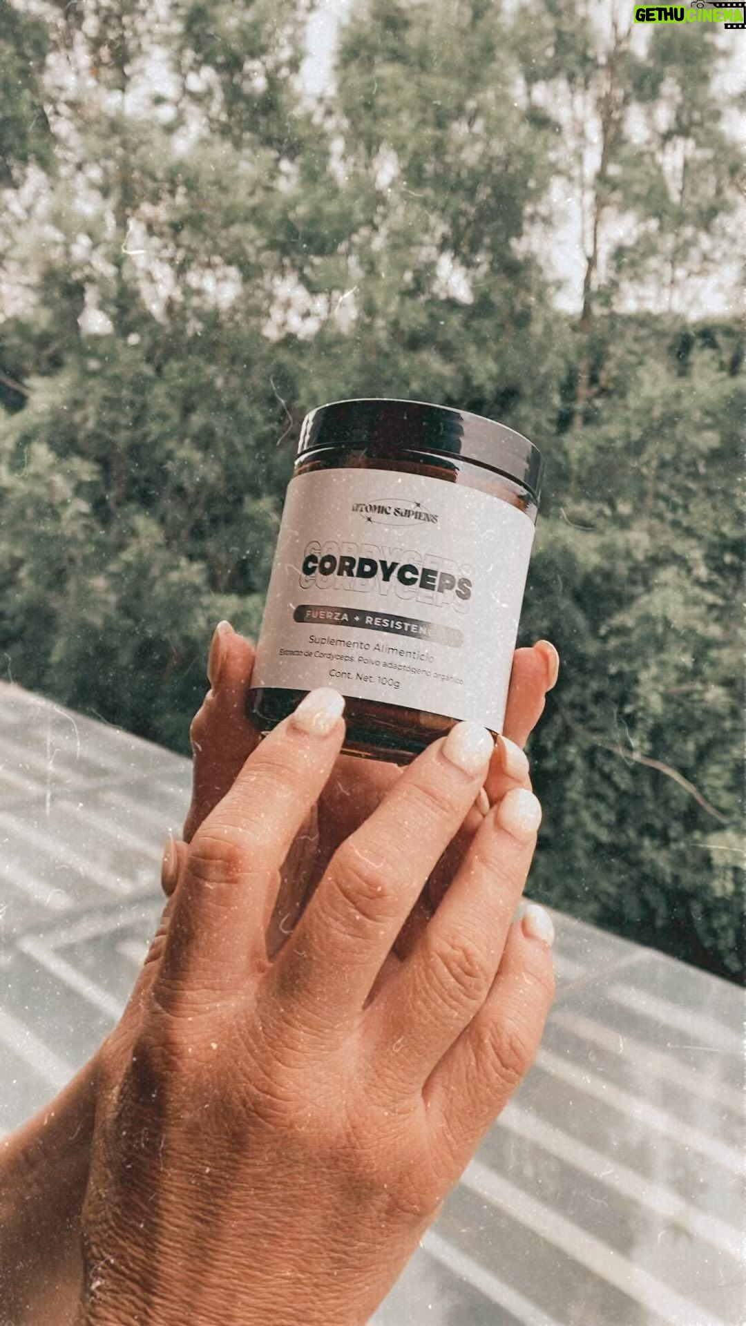 Olivia Collins Instagram - Ya se la saben mis amores 🍄✨ De mis secretos más compartidos, los adaptógenos de @atomicsapiens para que el cuerpo tenga lo necesario para funcionar en su mejor capacidad 💪🏻🤩🎥 No olviden usar el código ELIXIRCOLLINS para obtener un descuento en su compra 🛒 #OliviaCollins #adaptogenos #tip #salud #hongos #atomicsapiens #cordyceps Mexico City, Mexico
