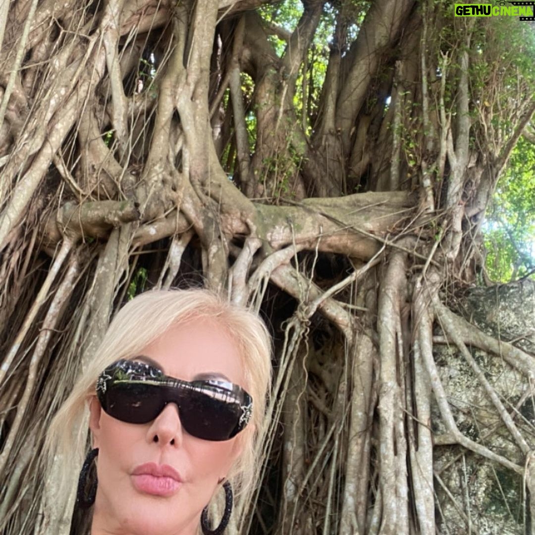 Olivia Collins Instagram - Panameando ando entre raíces, micrófonos, mariscos y alergias 🦐🌴🎙 ¡Nos vemos mañana en teatro La Huaca! 🎭 @busco_al_hombre Panama City