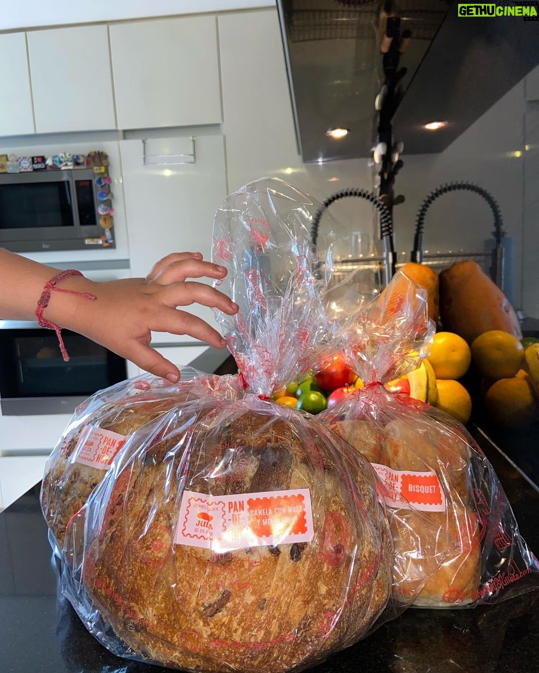Olivia Collins Instagram - No les puedo contar la emoción de lo que me acaba de llegar 🥹🤌🏼 Todas las manos de mi casa puestas sobre estas hogazas mágicas de masa madre de @hellojulieta.mx que derrrrrrrriten 🥖🫠🧈 Pan de semillas, pan de canela con nuez y monk fruit y bisquets 🤩 Muero de deliciosura, estén atentos porque les voy a subir unas recetas de chuparse los dedos ☝🏼🤤 #OliviaCollins #VidaCollins #pan #masamadre #hogaza #hellojulieta #receta #deli #pandemasamadre Mexico City, Mexico