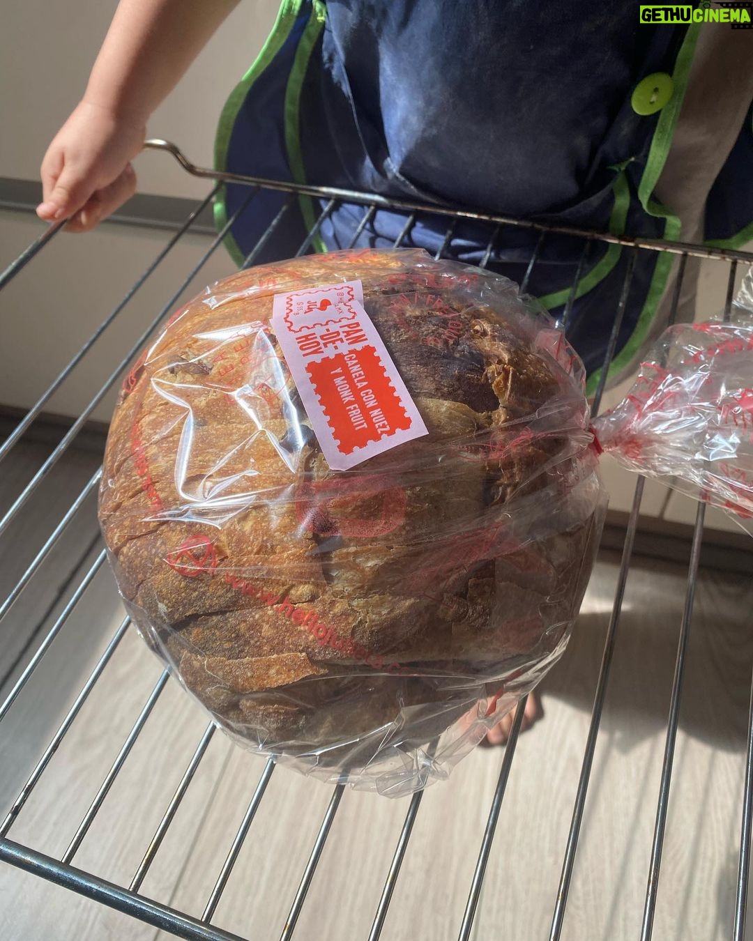Olivia Collins Instagram - No les puedo contar la emoción de lo que me acaba de llegar 🥹🤌🏼 Todas las manos de mi casa puestas sobre estas hogazas mágicas de masa madre de @hellojulieta.mx que derrrrrrrriten 🥖🫠🧈 Pan de semillas, pan de canela con nuez y monk fruit y bisquets 🤩 Muero de deliciosura, estén atentos porque les voy a subir unas recetas de chuparse los dedos ☝🏼🤤 #OliviaCollins #VidaCollins #pan #masamadre #hogaza #hellojulieta #receta #deli #pandemasamadre Mexico City, Mexico