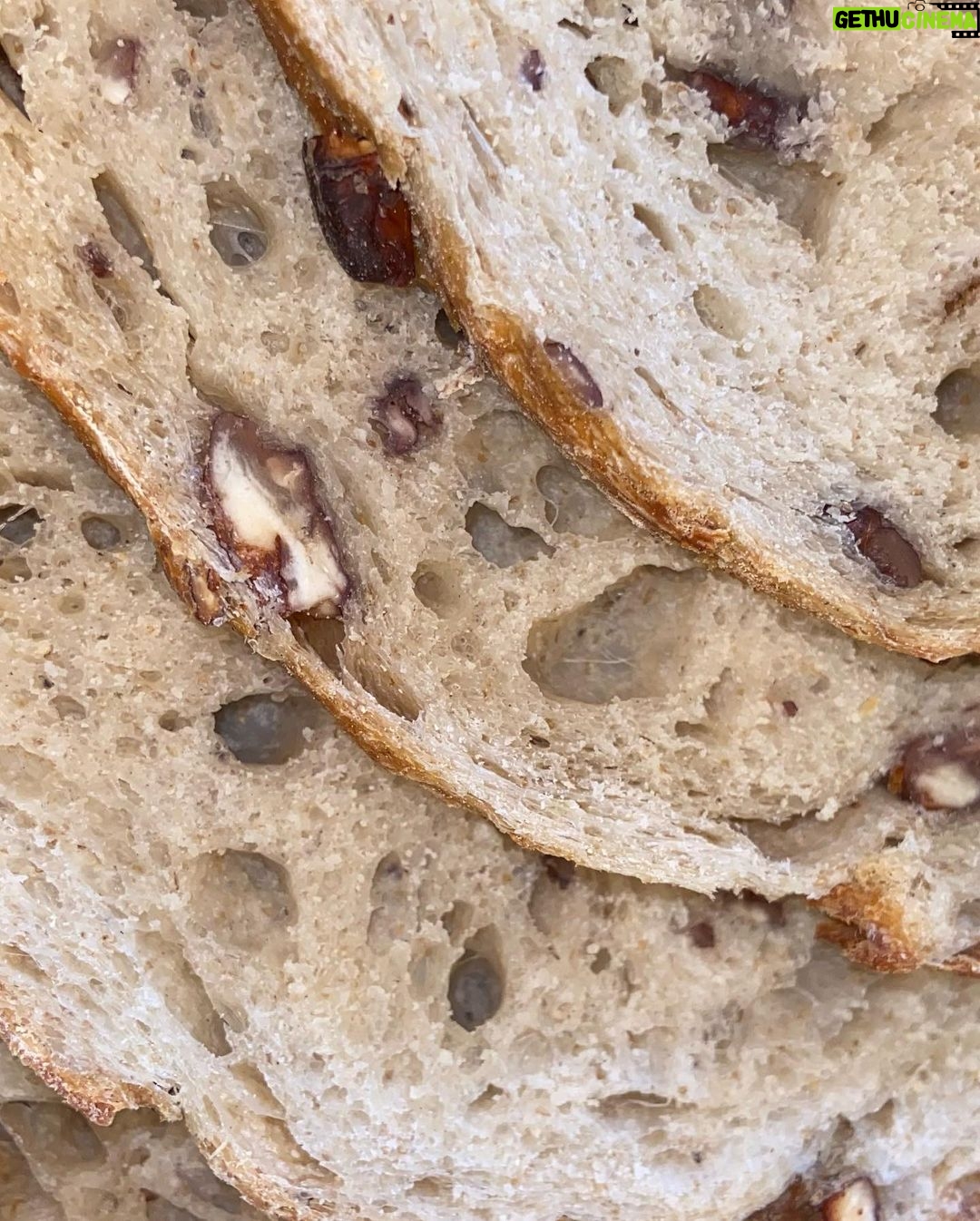 Olivia Collins Instagram - No les puedo contar la emoción de lo que me acaba de llegar 🥹🤌🏼 Todas las manos de mi casa puestas sobre estas hogazas mágicas de masa madre de @hellojulieta.mx que derrrrrrrriten 🥖🫠🧈 Pan de semillas, pan de canela con nuez y monk fruit y bisquets 🤩 Muero de deliciosura, estén atentos porque les voy a subir unas recetas de chuparse los dedos ☝🏼🤤 #OliviaCollins #VidaCollins #pan #masamadre #hogaza #hellojulieta #receta #deli #pandemasamadre Mexico City, Mexico