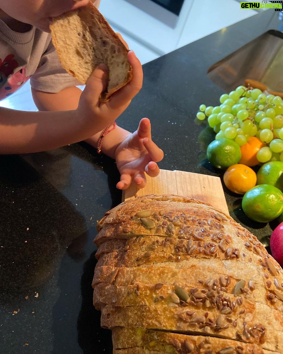 Olivia Collins Instagram - No les puedo contar la emoción de lo que me acaba de llegar 🥹🤌🏼 Todas las manos de mi casa puestas sobre estas hogazas mágicas de masa madre de @hellojulieta.mx que derrrrrrrriten 🥖🫠🧈 Pan de semillas, pan de canela con nuez y monk fruit y bisquets 🤩 Muero de deliciosura, estén atentos porque les voy a subir unas recetas de chuparse los dedos ☝🏼🤤 #OliviaCollins #VidaCollins #pan #masamadre #hogaza #hellojulieta #receta #deli #pandemasamadre Mexico City, Mexico