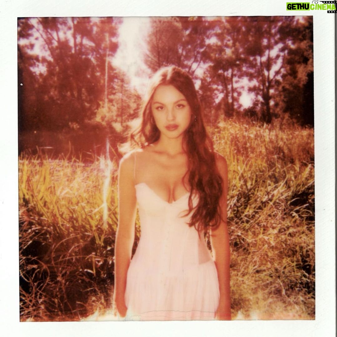 Olivia Rodrigo Instagram - yayayayyyy!!!! my new song “Can’t Catch Me Now” from the @thehungergames is out now. the film and the rest of the soundtrack are out November 17th!!!!! hope ya dig🪐🌸⚡️