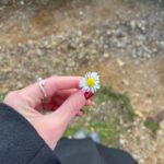 Olivia Rodrigo Instagram – these days🌼🌼🌼