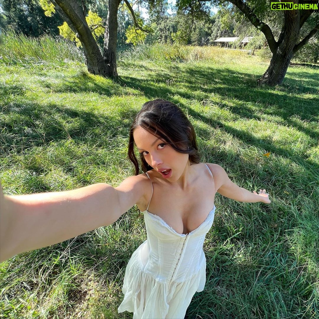 Olivia Rodrigo Instagram - ๐in the trees, in the breeze