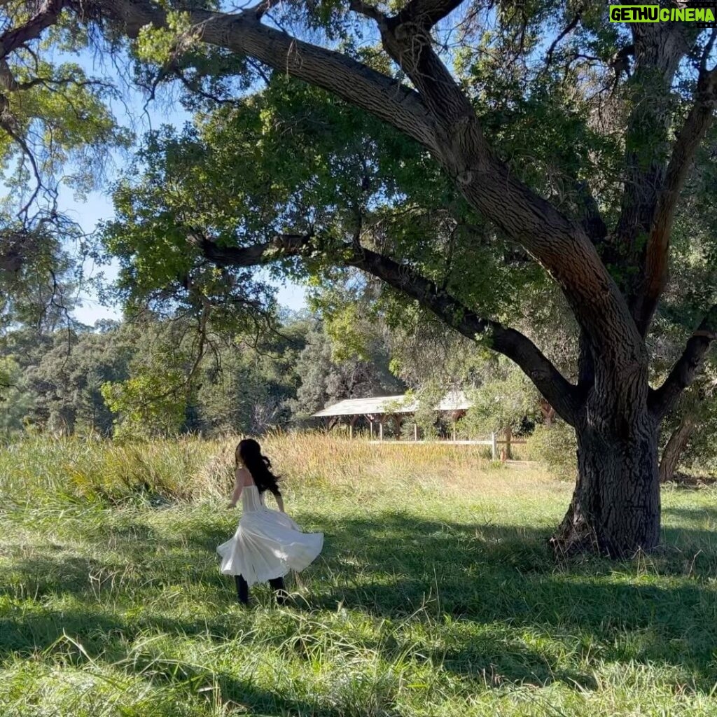 Olivia Rodrigo Instagram - 📍in the trees, in the breeze