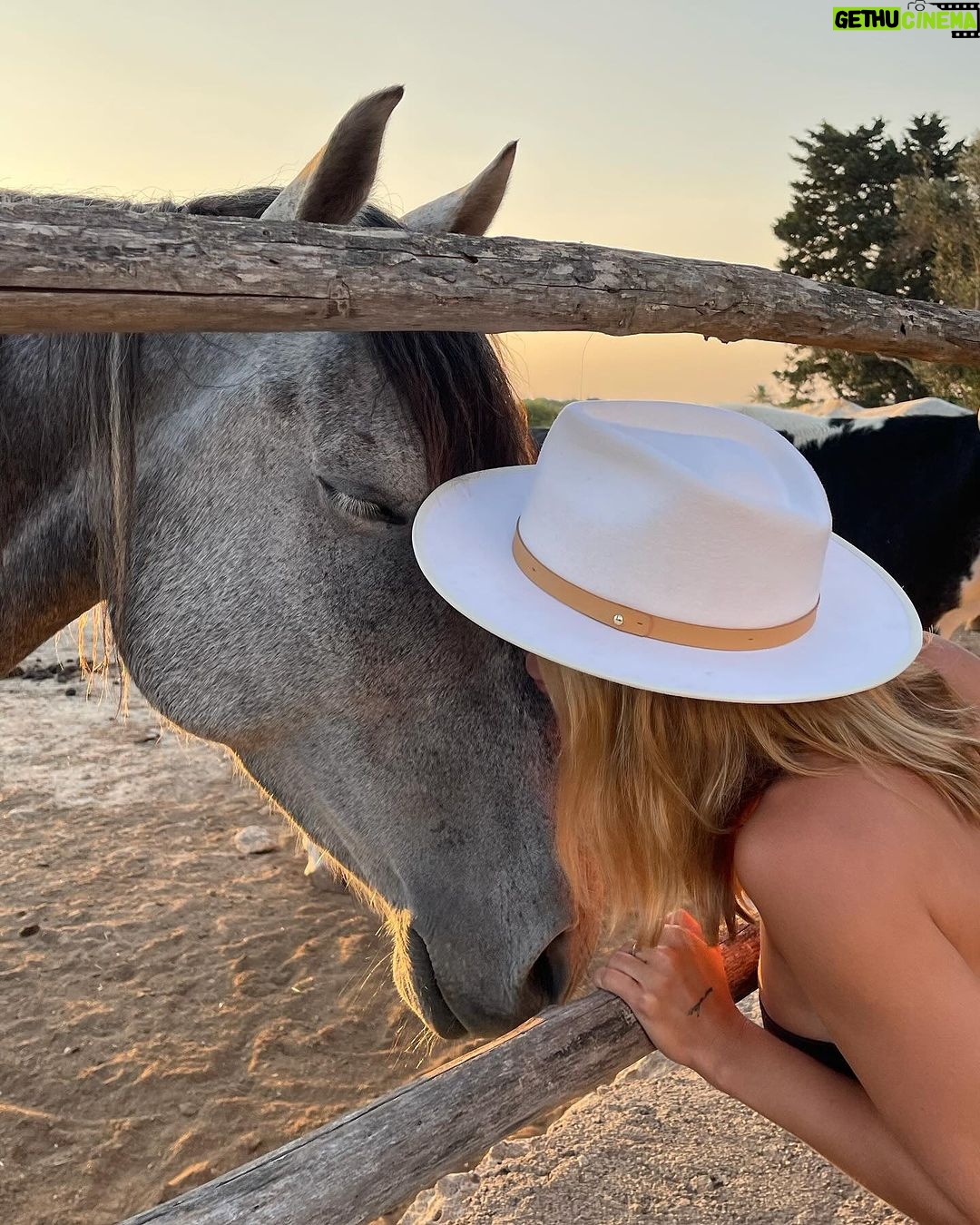Olivier Dion Instagram - Dolce vita Puglia,Salento