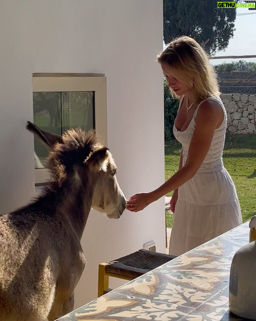 Olivier Dion Instagram - Dolce vita Puglia,Salento