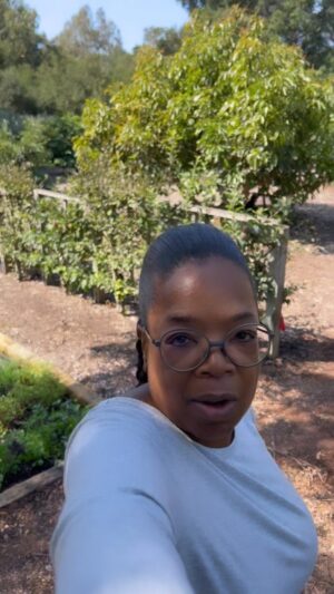 Oprah Winfrey Instagram - Harvest day makes my heart sing 🥬🥬🥬 What are y’all up to this Sunday?