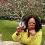 Oprah Winfrey Instagram - It’s BYOB (bring your own bottle) tonight at @owntv with the second episode of @kingsofnapa! It’s about a family who owns their own vineyard. The wine is delicious but the drama is even juicier! See y’all tonight at 8|7c🍷🍷🍷 #KingsOfNapa