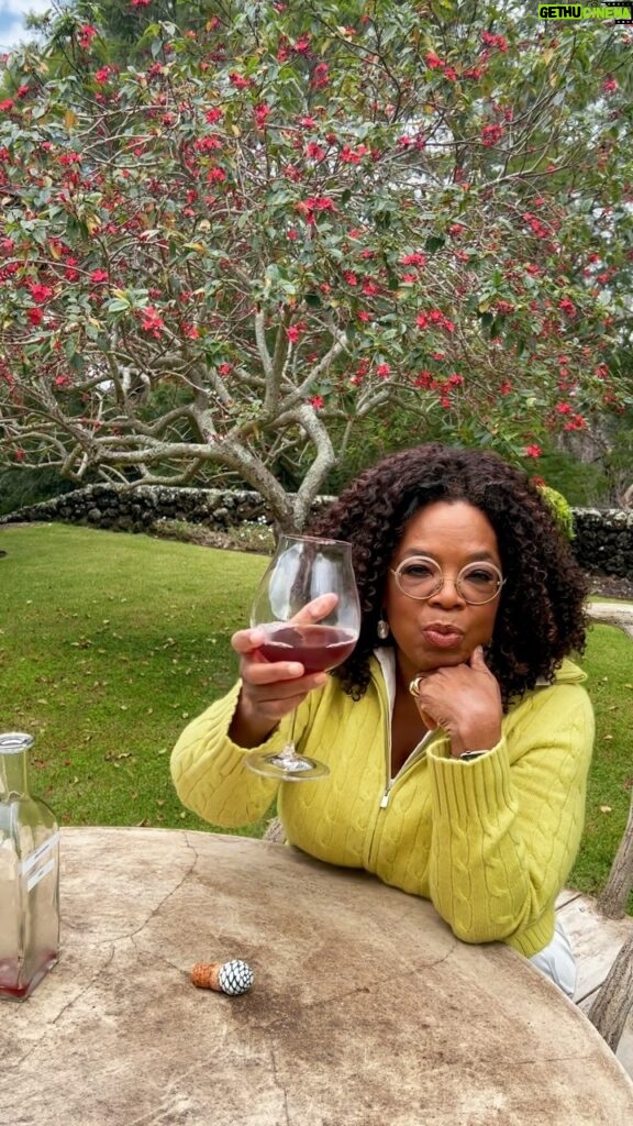 Oprah Winfrey Instagram - It’s BYOB (bring your own bottle) tonight at @owntv with the second episode of @kingsofnapa! It’s about a family who owns their own vineyard. The wine is delicious but the drama is even juicier! See y’all tonight at 8|7c🍷🍷🍷 #KingsOfNapa