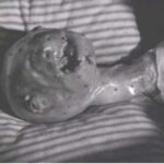 Orkgotik Instagram - i'm baby