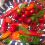Pam Tillis Instagram - Yesterday was the 3rd anniversary of Mom’s passing. A trip to the cemetery was discussed, but we ended up canning some jelly and chutney in her honor. What a special late summer gathering in the country with my sweet sisters and niece. I have to have this kind of family time to keep me grounded in the swirl of craziness that’s my life. Whomever with and wherever you find them, I wish these moments for you. ❤️ #southerngals #downhome Nashville, Tennessee