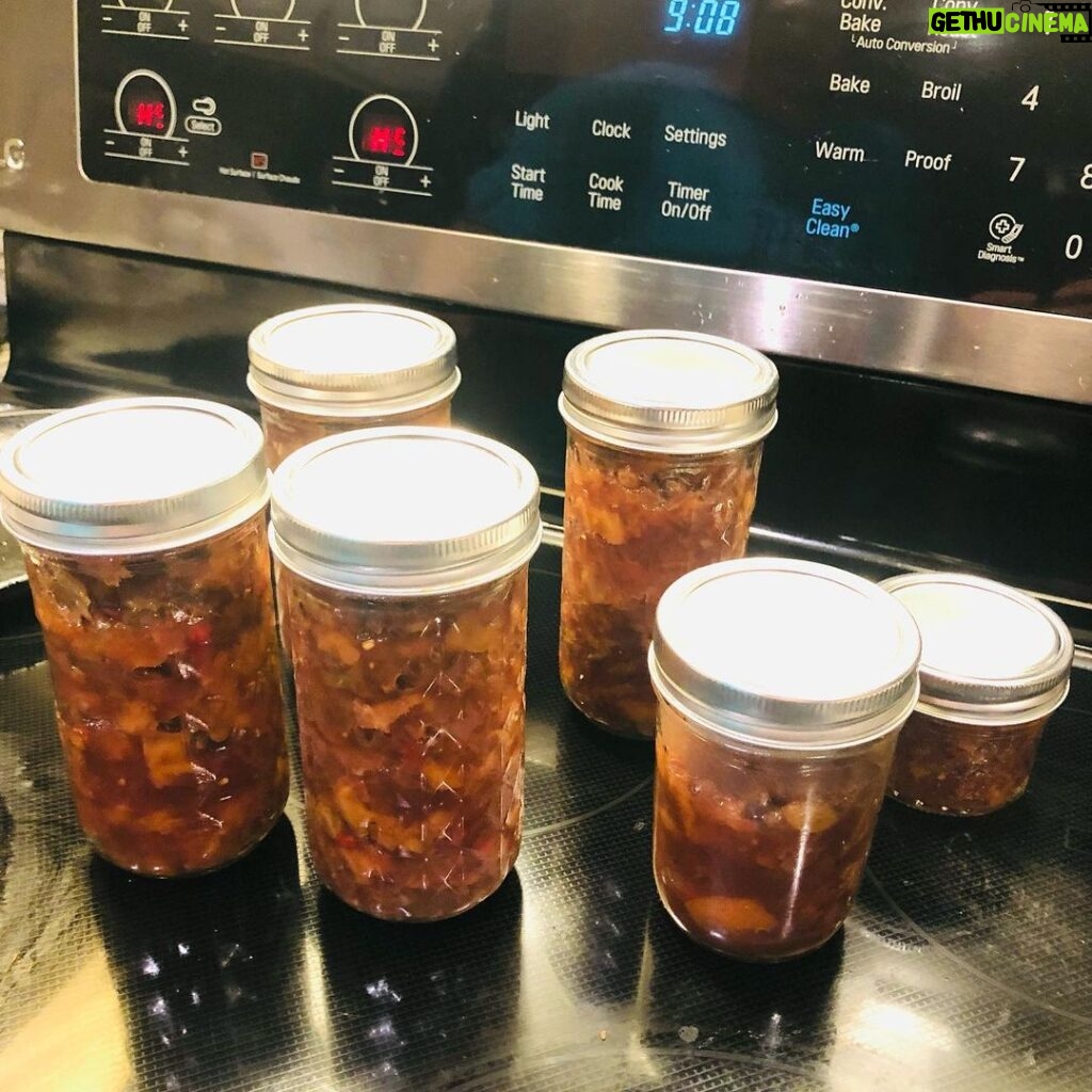 Pam Tillis Instagram - Yesterday was the 3rd anniversary of Mom’s passing. A trip to the cemetery was discussed, but we ended up canning some jelly and chutney in her honor. What a special late summer gathering in the country with my sweet sisters and niece. I have to have this kind of family time to keep me grounded in the swirl of craziness that’s my life. Whomever with and wherever you find them, I wish these moments for you. ❤️ #southerngals #downhome Nashville, Tennessee