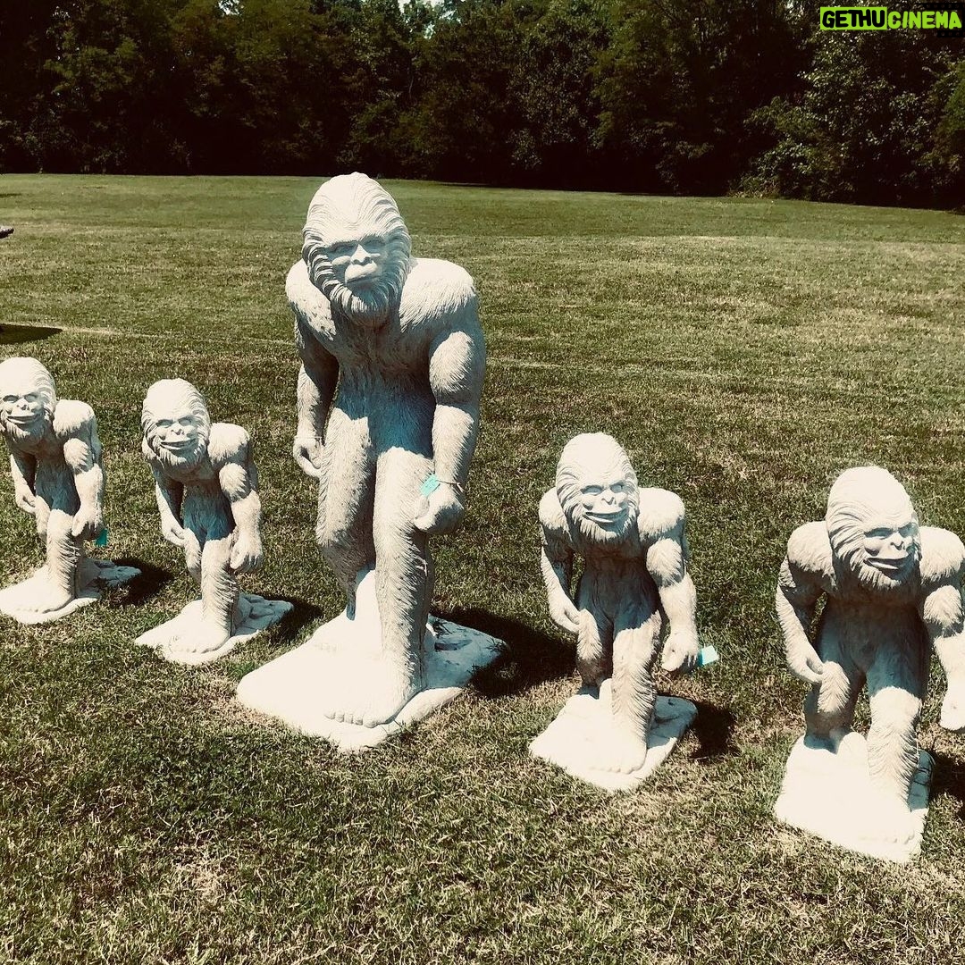 Pam Tillis Instagram - If you are at all considering yard art just remember that groupings always make a stronger statement than a bunch of random items. 😎 #random Nashville, Tennessee