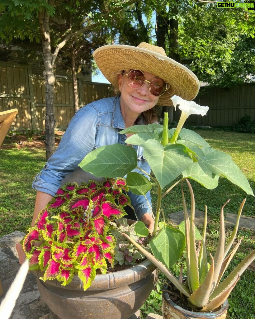 Pam Tillis Instagram - The important thing is to keep growing!! Thank you to Beth Wagner from @knockinroots for coming over and helping me pick some stuff to send to the @nashvillecommunityfridge ! Great place for your extra produce. Stay cool! Stay hydrated!! #summer #gardening #flowers Nashville, Tennessee