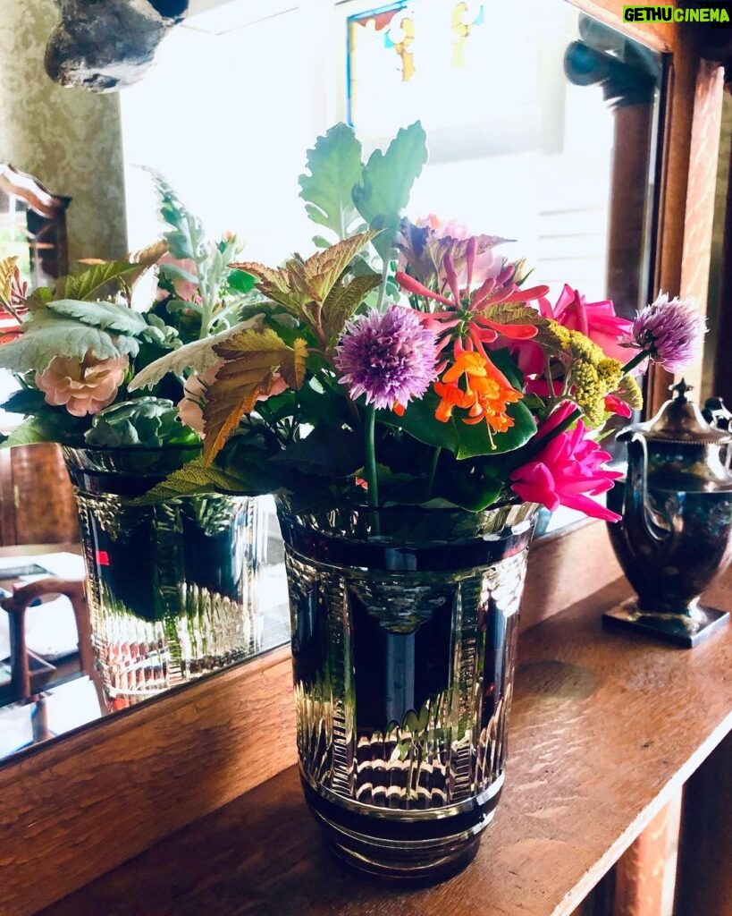 Pam Tillis Instagram - First bouquet of the spring/summer!! #Pickingandgrinning #springfever #I❤Flowers #plantaholicsanonymous Nashville, Tennessee