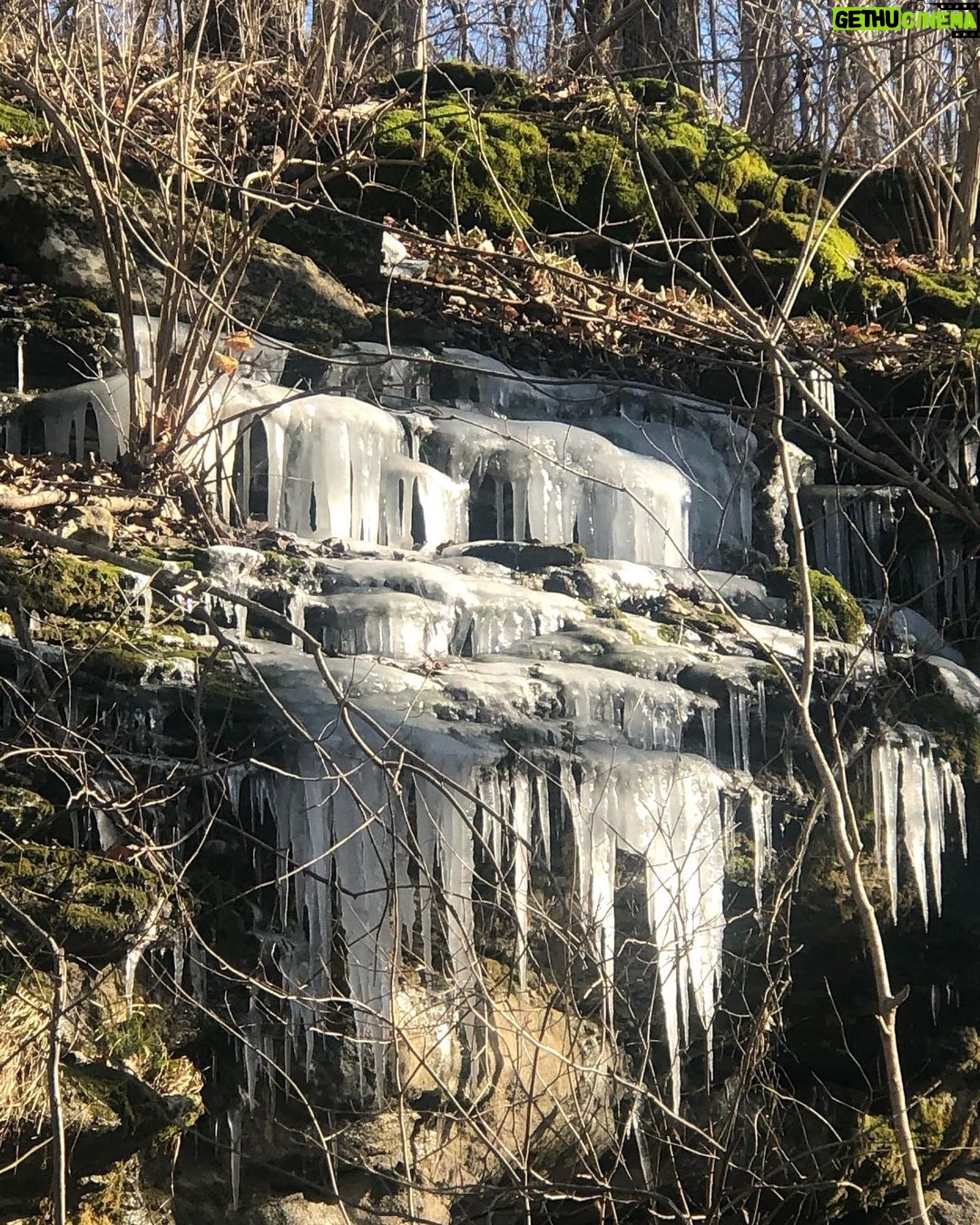 Pam Tillis Instagram - Trying to stay cool about things, trying to hold on, at home in the woods, in the cosmic scheme of things ephemeral. Is it weird to relate to icicles??