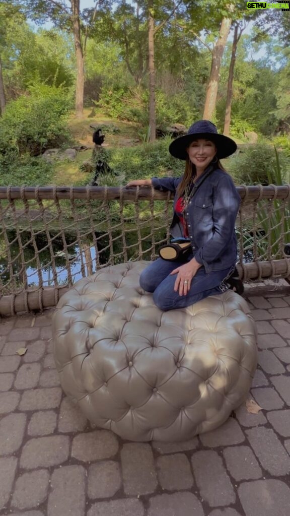 Pam Tillis Instagram - For all of you who have ever wondered what it would be like if Pam Tillis had a Wandering Ottoman. #pamtillis #thewanderingottoman #maybeitwasmemphis #90scountry #countrymusic Nashville, Tennessee