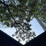 Panyanut Jirarottanakasem Instagram – Peace 🍃☘️