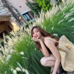 Panyanut Jirarottanakasem Instagram - 🧡⛰️🍃 Toscana Valley เขาใหญ่