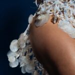 Paolla Oliveira Instagram - Hoje, como água morro abaixo, ninguém me segura. Samba comigo até a última gota? “E Tupã correu pelos quatro cantos do universo, provocando assim uma tempestade. E o aguaceiro do céu extinguiu o fogo da terra. E as águas torrenciais dessa chuva correram pelas montanhas e pelos regos formados durante o incêndio, arrastando as cinzas de tudo que fora queimado, até encher uma imensa depressão dando origem ao mar.” A legenda contém trecho do livro “Meu Destino é Ser Onça”, de Alberto Mussa. 🤍 Rio de Janeiro, Rio de Janeiro