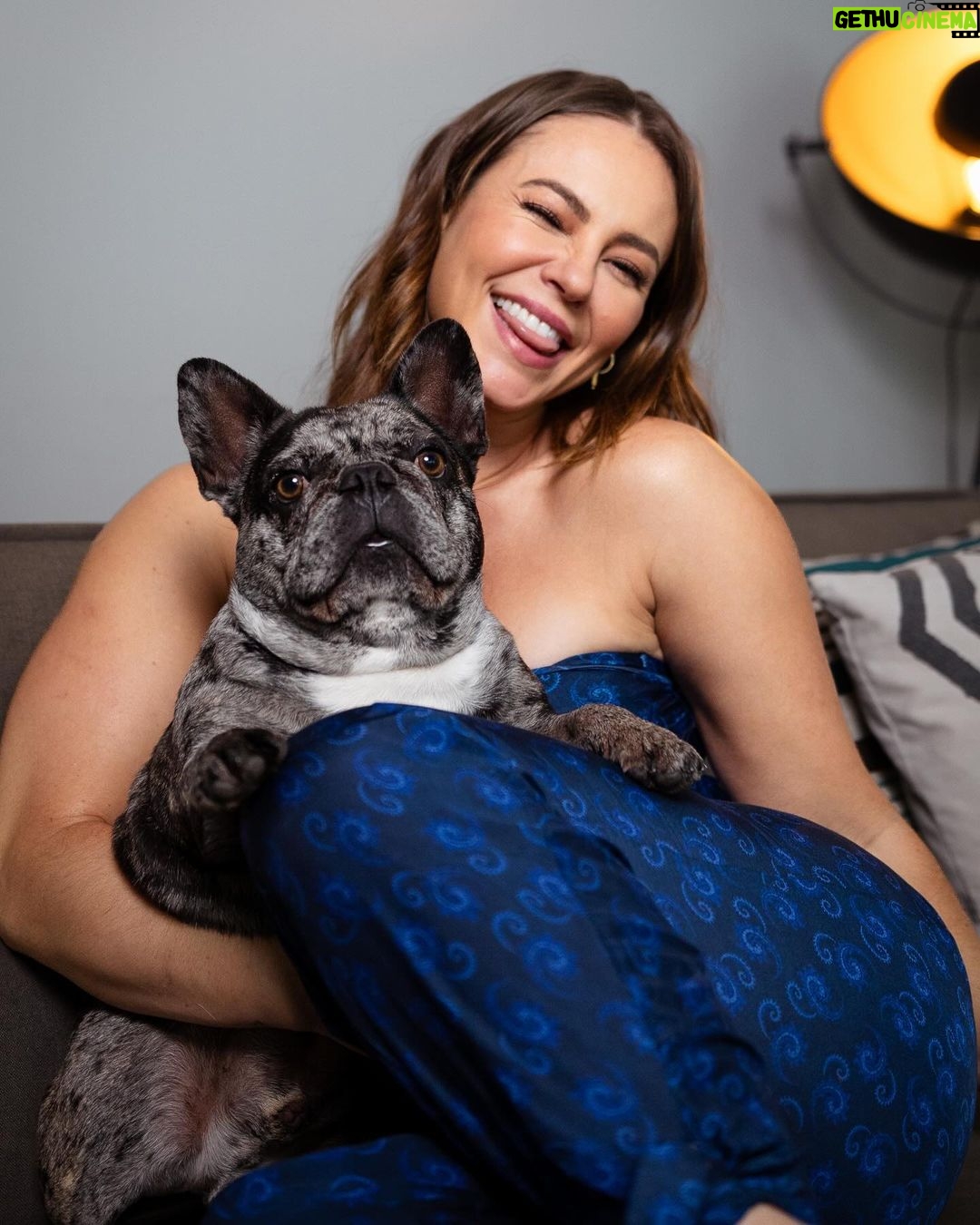 Paolla Oliveira Instagram - Voltando pro caos de obra e mudança, mas ser recebida com muitas lambidas deixa tudo mais leve. Amo demais 🐶🖤