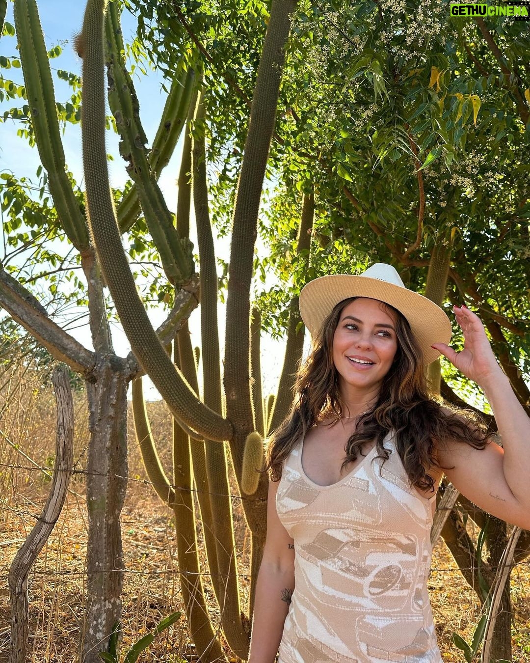 Paolla Oliveira Instagram - A beleza da simplicidade 🤎 Rio Grande do Norte
