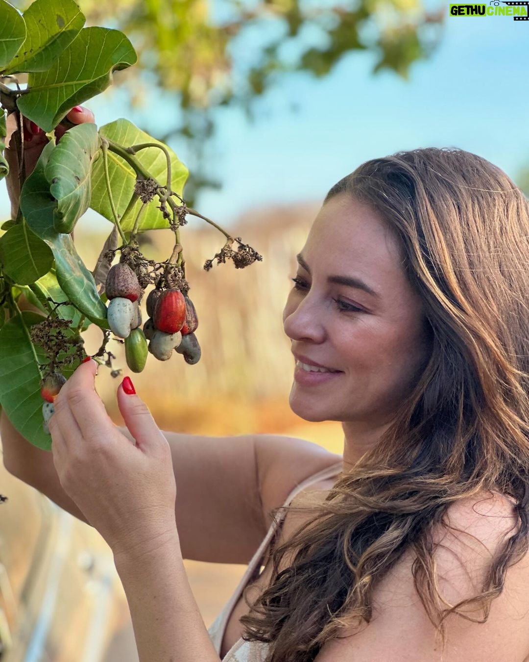 Paolla Oliveira Instagram - A beleza da simplicidade 🤎 Rio Grande do Norte