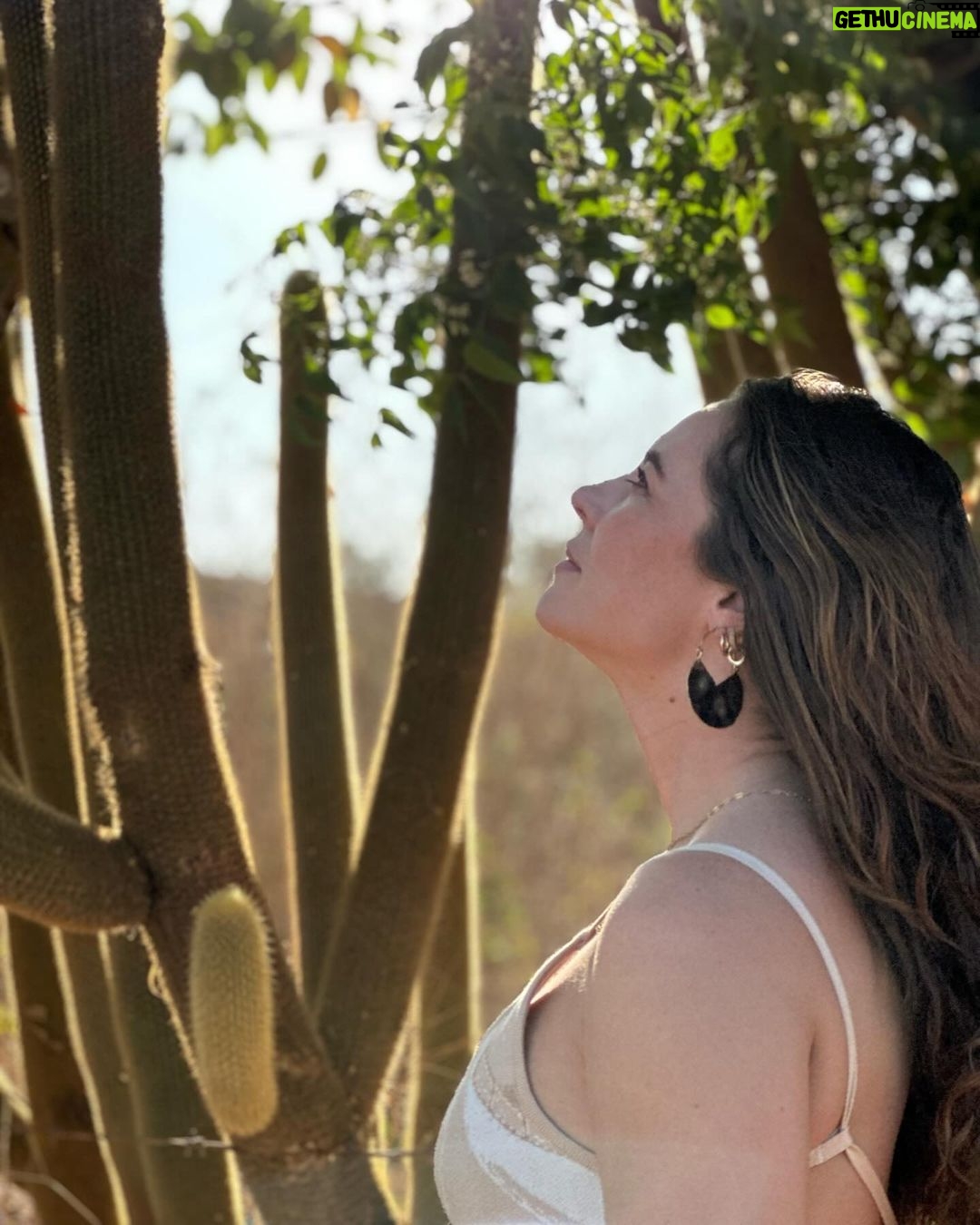 Paolla Oliveira Instagram - A beleza da simplicidade 🤎 Rio Grande do Norte