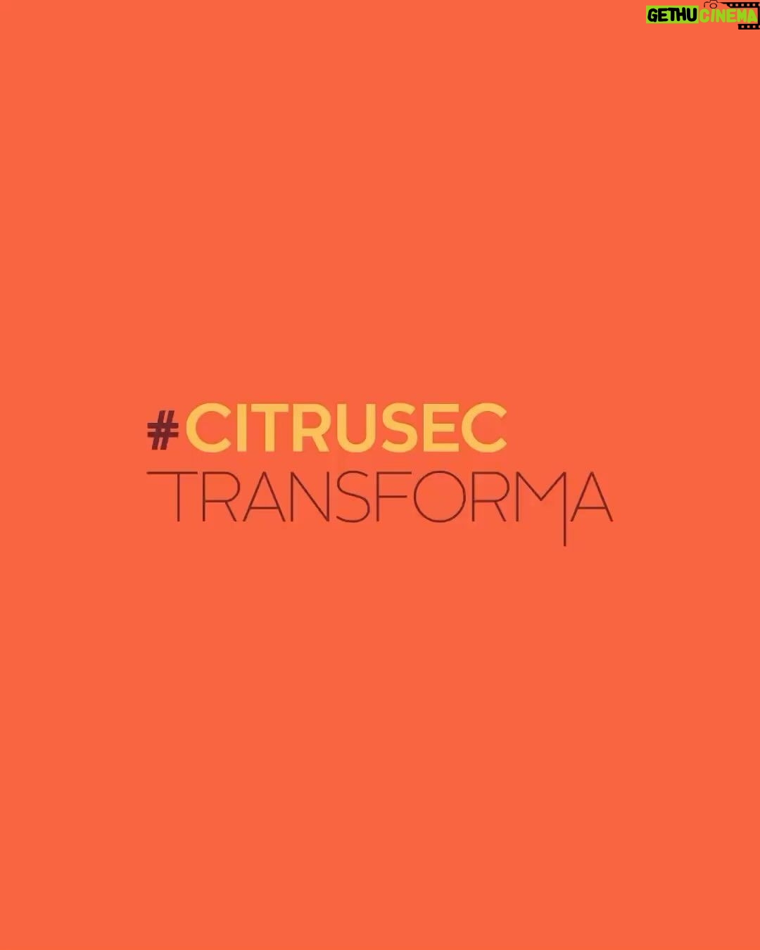 Paolla Oliveira Instagram - Revolucione a sua jornada de bem-estar! A marca Citrusec e eu, convidamos você a ser o protagonista da sua própria história, com mais saúde e autocuidado. É hora de se transformar com o Movimento #CitrusecTransforma! ACREDITE, CONQUISTE E TRANSFORME! Siga o @citrusec.oficial e acompanhe os conteúdos com dicas de nutrição, receitas para transformar a sua alimentação, exercício físico, com treinos e orientações para manter o seu corpo em movimento e claro, com meu aliado na suplementação – Citrusec. #CitrusecTransforma #BemEstar #TransformaçãoPessoal #Morosil #Autocuidado