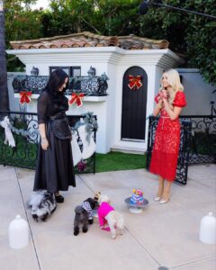 Paris Hilton Instagram - Check out my cozy holiday cooking special with @DDLovato! Join us as we dish out the gossip and whip up delicious treats for our furry friends! 🐶❤️ Love you sis! 💕 Watch now on @TheRokuChannel #ThatsHot Beverly Hills, California