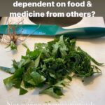 Parisa Fitz-Henley Instagram – I made this when I rented in the South. Now I own a little piece of land here and think of what wild things I can encourage the growth of. As Spring is coming fairly soon, consider finding out what ‘weeds’ you might be pulling that you should actually be putting in your salad — or straight into your mouth! My personal favorite of the latter are the chives that grow wild in so many places and can be mistaken for grass. Go to the supermarket, price chives (easily $3-$4 for a tiny amount) and see if you’ll ever mistake them for grass again. 😆 For real, in many places naturally growing greens are being chucked aside so folks can plant more kale and then worry about the weeds messing with it. Lol the weeds are sometimes more nutritious, tasty and they also happen to be FREE. Access to land and fresh food is a social justice issue, a mental and physical health issue, an environmental issue. It’s about our connection to the earth, our ancestors, each other and Self. Believe me, remembering that this planet is a place that offers gifts to everyone can be incredibly healing, even if the gifts aren’t yet noticed by or accessible to all of us. Knowing it reminds me that Mother Earth can have our backs when we let her and that there is sustenance and joy in having hers. 💚 If I get to be home when my yard starts to flourish I’ll try to post pics. Until then, do consider that as long as your soil is healthy (NYC can have high lead content and places all over can have pesticide or other contaminants) a lot of what is ‘stubbornly’ aka naturally, happily, robustly growing around you might be perfect on your plate. 🌱 ✨