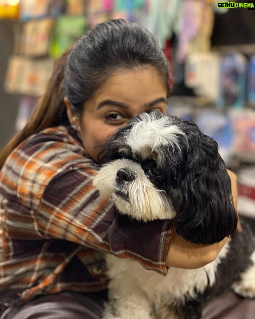 Parveen Instagram - This is not whiskey(my boy), He’s Ozzie i was met him in grooming parlour i loved his naughtiness and shyness he’s ditto of my whiskey🖤